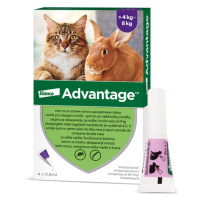 Advantage Malé Kočky 80 mg + králíci Spot-on 4 x 0.8 ml