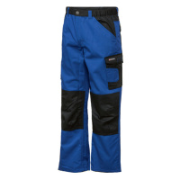 PARKSIDE® Pánské pracovní kalhoty (adult#male, 46, modrá/černá)