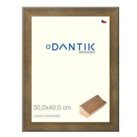 DANTIK rámeček 30 × 40, Lauren starozlatý plexi čiré