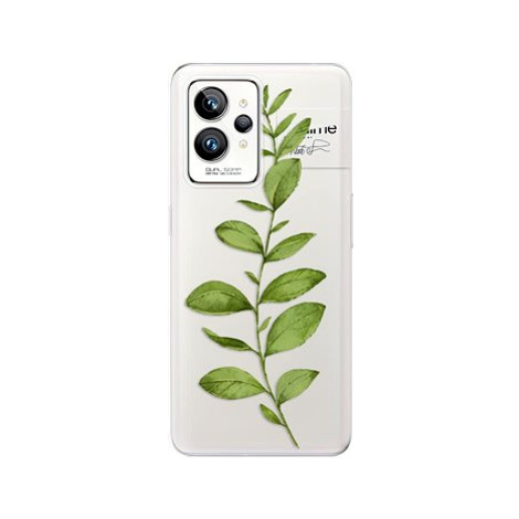 iSaprio Green Plant 01 pro Realme GT 2 Pro