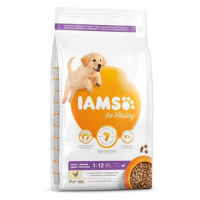 IAMS Dog Puppy Large Chicken 3 kg