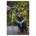Vsepropejska Havi postroj pro psa s vodítkem Barva: Modrá, Obvod hrudníku: 40 - 47 cm