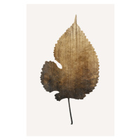 Ilustrace Golden Leaf, Kubistika, 26.7x40 cm