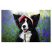 Vsepropejska Mufi kšiltovka pro psa Barva: Šedá, Vzdálenost uší: 7 cm