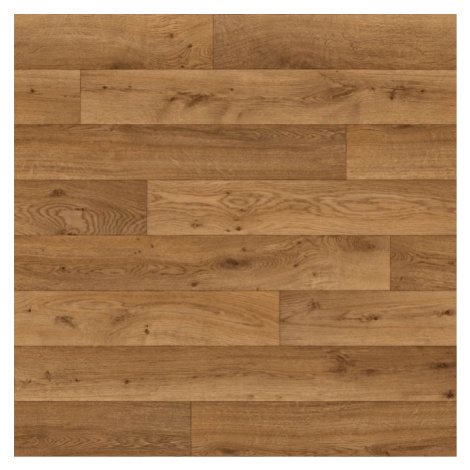 PVC podlaha START DUB DOSKA