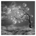 Fotografie The Moon Tree, Christian Marcel, 40 × 40 cm