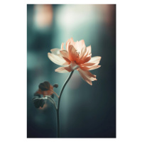 Fotografie Coral Flowers At Night, Treechild, 26.7 × 40 cm