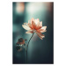 Fotografie Coral Flowers At Night, Treechild, (26.7 x 40 cm)