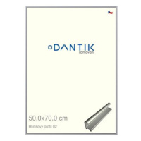 DANTIK rámeček 50 × 70, ALU profil 7002 Stříbrný matný plexi čiré