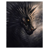 Umělecký tisk Black dragon portrait, Refluo, (30 x 40 cm)