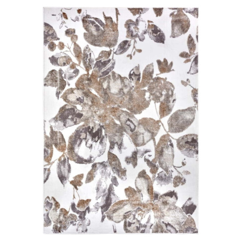 Šedo-hnědý koberec 120x170 cm Shine Floral – Hanse Home