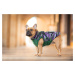 Vsepropejska Pardál zimní bunda pro psa s postrojem Barva: Zelená, Délka zad (cm): 33, Obvod hru