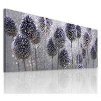 Obraz na plátně GARLIC FLOWER I různé rozměry Ludesign ludesign obrazy: 100x40 cm