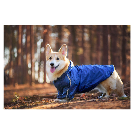 Vsepropejska Enola zimní bunda pro psa Barva: Modrá, Délka zad (cm): 20, Obvod hrudníku: 30 - 32