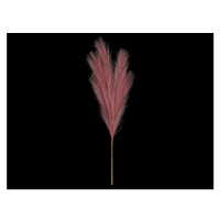 Umělá květina Pampas tráva 77 cm, fialová