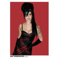 Plakát, Obraz - Amy Winehouse - Dublin 2007, (59.4 x 84 cm)