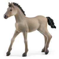 SCHLEICH - Zvířátko - hříbě Criollo Definitivo