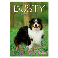 Dusty 2: V nebezpečenstve - Jan Andersen - kniha z kategorie Beletrie pro děti