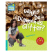 Cambridge Factbooks 5 Why Do Diamonds Glitter? Cambridge University Press