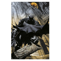 Plakát DC Comics - Batman (135)