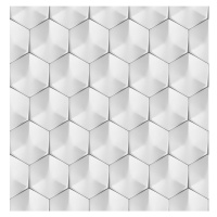 Skleněný panel 60/60 Polar Hex Esg