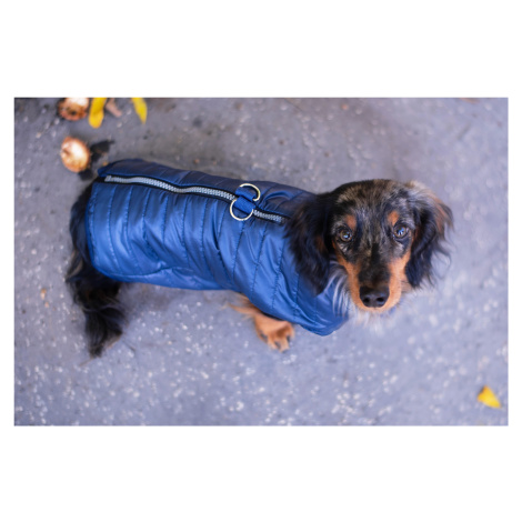 Vsepropejska Targa podzimní bunda pro psa Barva: Modrá, Délka zad (cm): 30, Obvod hrudníku: 40 -