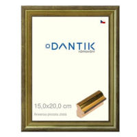 DANTIK rámeček 15 × 20, ANIVERSA piccola zlatý sklo čiré