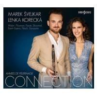 Švejkar Marek , Korecká Lenka: Connection