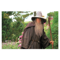 Umělecký tisk Lord of the Rings - Gandalf, 40 × 26.7 cm