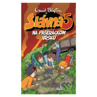 Slávna päťka na Pašeráckom vŕšku - Enid Blyton - kniha z kategorie Beletrie pro děti