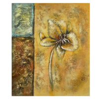Obraz - Květ na stěně