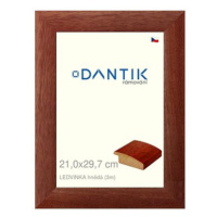 DANTIK rámeček 21 × 29,7, LEDVINKA hnědý sklo čiré