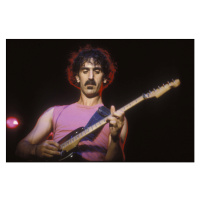 Fotografie Portrait of rock musician Frank Zappa, 1982, 40 × 26.7 cm