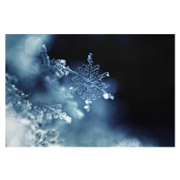 Fotografie Real snowflake macro, TothGaborGyula, (40 x 26.7 cm)