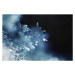 Umělecká fotografie Real snowflake macro, TothGaborGyula, (40 x 26.7 cm)