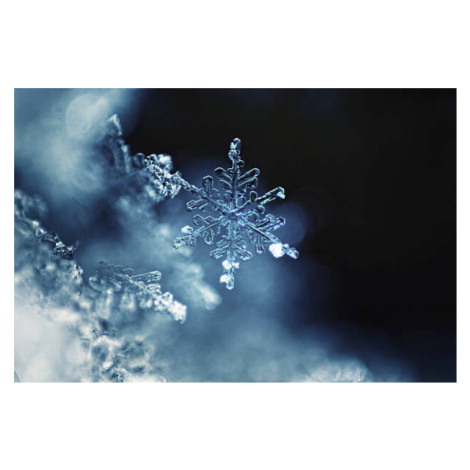 Fotografie Real snowflake macro, TothGaborGyula, 40x26.7 cm