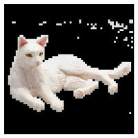 Mojo Kočka bílá ležící