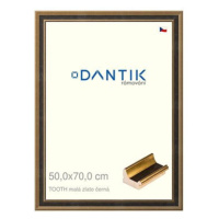 DANTIK rámeček 50 × 70, TOOTH malý zlato černý plexi čiré