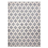 Dywany Łuszczów Kusový koberec Core W6764 Trellis grey/cream - 120x170 cm