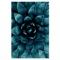 Fotografie Cactus No 9, Kubistika, 26.7 × 40 cm