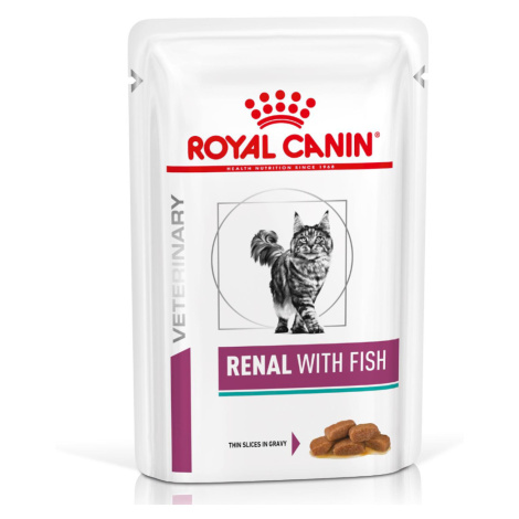 Royal Canin Veterinary Feline Renal - Výhodné balení – ryba 24 x 85 g
