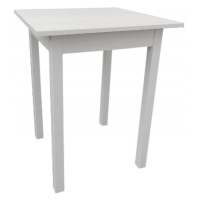 Dede Kuchyňský stůl MINI 60 x 60 cm -  bílá polární / bílá
