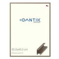 DANTIK rámeček 30 × 40, ALU profil 6001 champagne plexi čiré