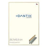 DANTIK rámeček 29,7 × 42, ALU profil 7273 Dýha javor plexi čiré