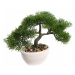 Dekorace Bonsai v květináči ART17313