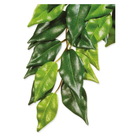 Dekorace Exo Terra Rostlina textil Ficus malá exoterra