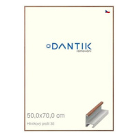 DANTIK rámeček 50 × 70, ALU profil 6030 Dýha ořech lak matný plexi čiré