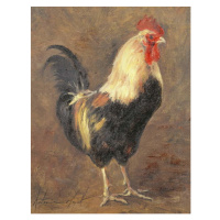 Obrazová reprodukce The Cockerel, 1999, Antonia Myatt, 30 × 40 cm