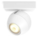 Philips Hue BUCKRAM 50471/31/P8