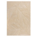 Flair Rugs koberce Kusový koberec Solace Lino Leaf Natural - 160x230 cm